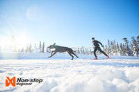 Non-Stop Dogwear Løype Belt